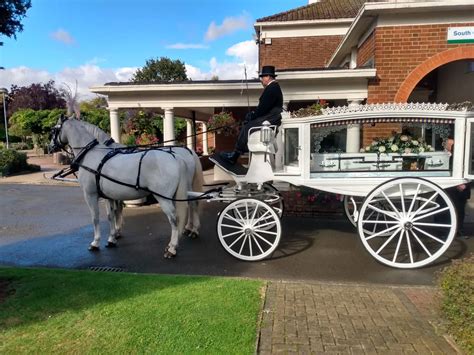 It is finished with high gloss grey paint, and pin striping in black with chrome <strong>carriage</strong> lights topped with the most beautiful ostrich feather plumes. . Horse and carriage for funeral in los angeles